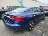 Used 2016 Nissan Maxima Platinum image 4