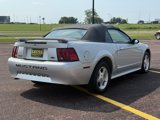 Used 2001 Ford Mustang Convertible image 3
