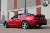 Used 2003 Ford Mustang Cobra image 4