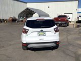 Used 2017 Ford Escape SE image 6