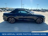 Used 2022 Ford Mustang Premium image 5