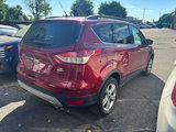 Used 2014 Ford Escape SE w/ Equipment Group 201A image 3