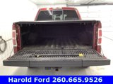 Used 2013 Ford F150 Platinum image 6
