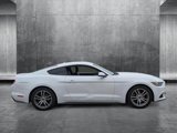 Used 2017 Ford Mustang Premium image 4
