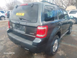 Used 2009 Ford Escape XLT image 6