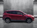 Used 2014 Ford Escape Titanium image 4