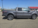 Used 2013 Ford F150 FX4 image 6