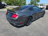 Used 2018 Ford Mustang Coupe w/ Ecoboost Performance Package image 5