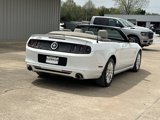 Used 2014 Ford Mustang Premium w/ Electronics Package image 3