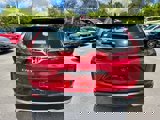 Used 2020 Honda CR-V LX image 5