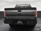 Used 2014 Ford F150 STX w/ Equipment Group 201A Mid image 5