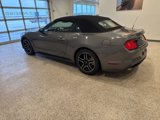 Used 2023 Ford Mustang Premium w/ Equipment Group 201A image 3