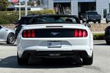 Used 2023 Ford Mustang Premium image 5