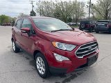 Used 2020 Ford EcoSport SE image 4