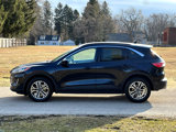 Used 2021 Ford Escape SEL image 2