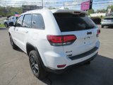 Used 2019 Jeep Grand Cherokee Trailhawk w/ Trailhawk Luxury Group image 3
