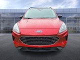 Used 2021 Ford Escape SE w/ SE Sport Appearance Package image 3