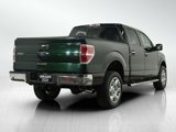 Used 2014 Ford F150 XLT w/ Equipment Group 302A Luxury image 5