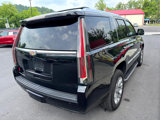 Used 2016 Cadillac Escalade 4WD image 6