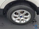 Used 2021 Ford EcoSport SE w/ SE Convenience Package image 5