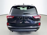 Used 2024 Ford Escape ST-Line image 6