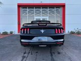 Used 2015 Ford Mustang Convertible w/ Equipment Group 051A image 5