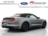 Used 2023 Ford Mustang Premium image 5