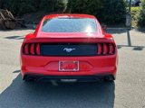Used 2018 Ford Mustang Premium image 3