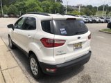 Used 2018 Ford EcoSport SE w/ SE Convenience Package image 4