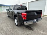 Used 2023 Ford F150 XLT image 2
