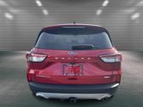 Certified 2020 Ford Escape Titanium w/ Titanium Premium Package 2.0 image 6