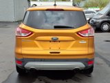 Used 2016 Ford Escape SE w/ SE Leather Comfort Package image 4