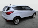 Used 2019 Ford Escape SE image 4