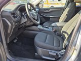 New 2025 Ford Escape Active w/ Cold Weather Package image 5