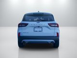 New 2025 Ford Escape Active w/ Tech Pack #1 image 6
