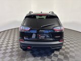 Used 2019 Jeep Cherokee Trailhawk w/ Cold Weather Group image 5
