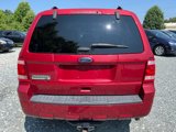 Used 2011 Ford Escape XLT w/ 202A Rapid Spec Order Code image 4