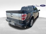 Used 2013 Ford F150 Platinum image 3