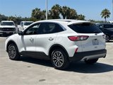 Certified 2022 Ford Escape SE w/ Convenience Package image 4