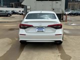 Used 2022 Honda Civic Sport image 4