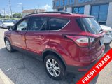 Used 2017 Ford Escape SE w/ Equipment Group 201A image 5