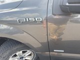 Used 2015 Ford F150 XL w/ Equipment Group 101A Mid image 3