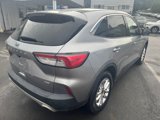 Used 2021 Ford Escape SE w/ Convenience Package image 5