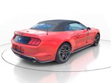 Used 2018 Ford Mustang Premium image 4