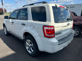 Used 2011 Ford Escape XLT w/ 202A Rapid Spec Order Code image 6