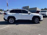 Used 2019 Toyota RAV4 XLE Premium image 2