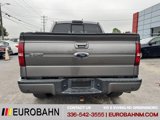 Used 2013 Ford F150 FX4 w/ Luxury Equipment Group image 4