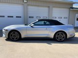 Used 2022 Ford Mustang Premium image 5
