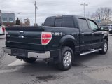 Used 2013 Ford F150 XLT w/ Luxury Equipment Group image 3