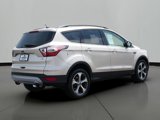 Used 2017 Ford Escape SE w/ SE Leather Comfort Package image 3